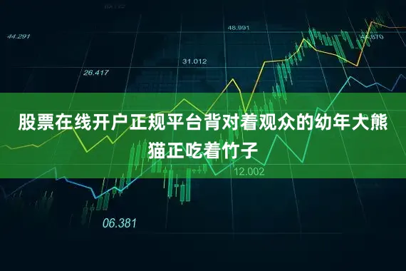 股票在线开户正规平台背对着观众的幼年大熊猫正吃着竹子